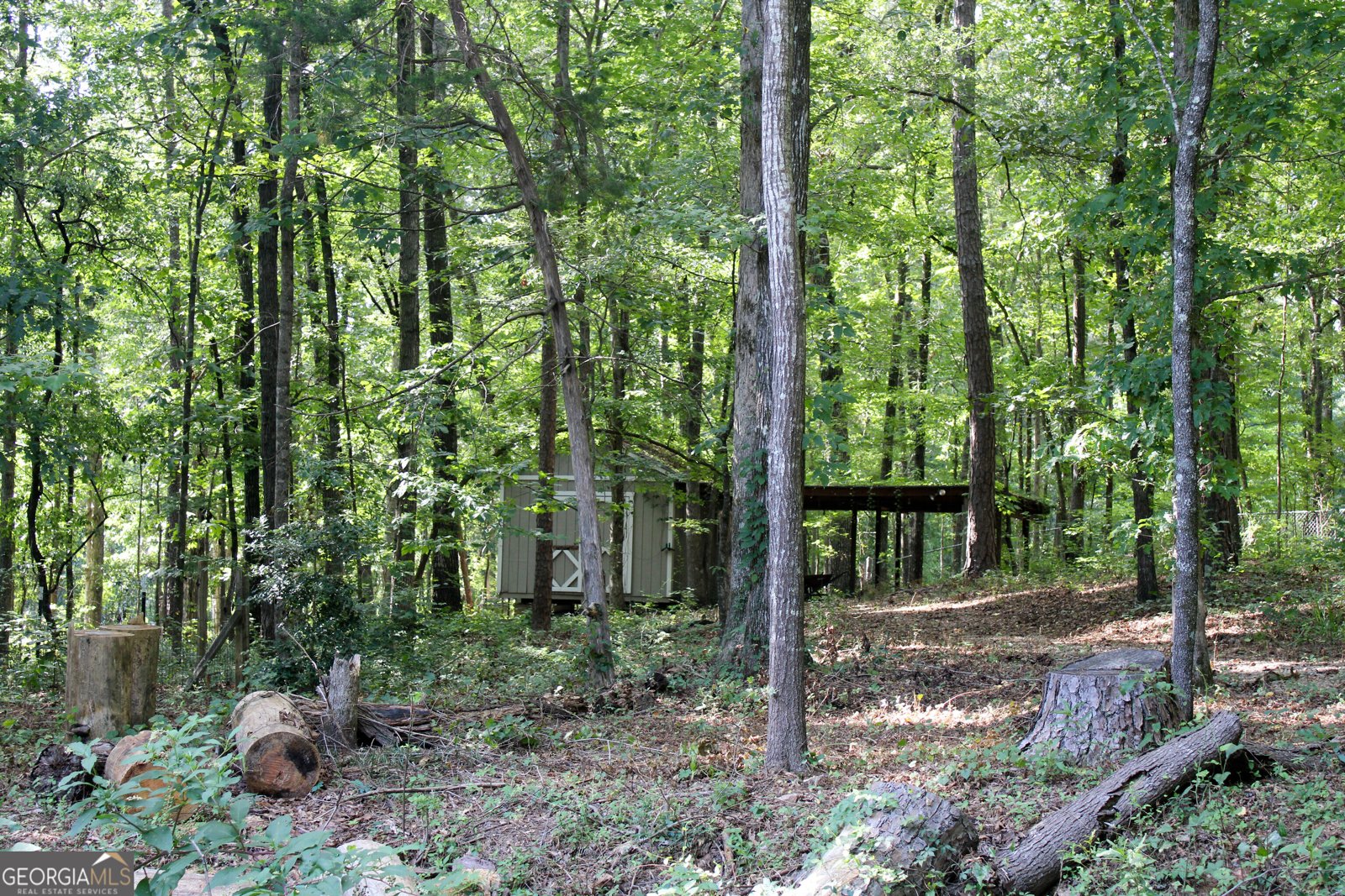 119 Plymouth Drive Lagrange - 59