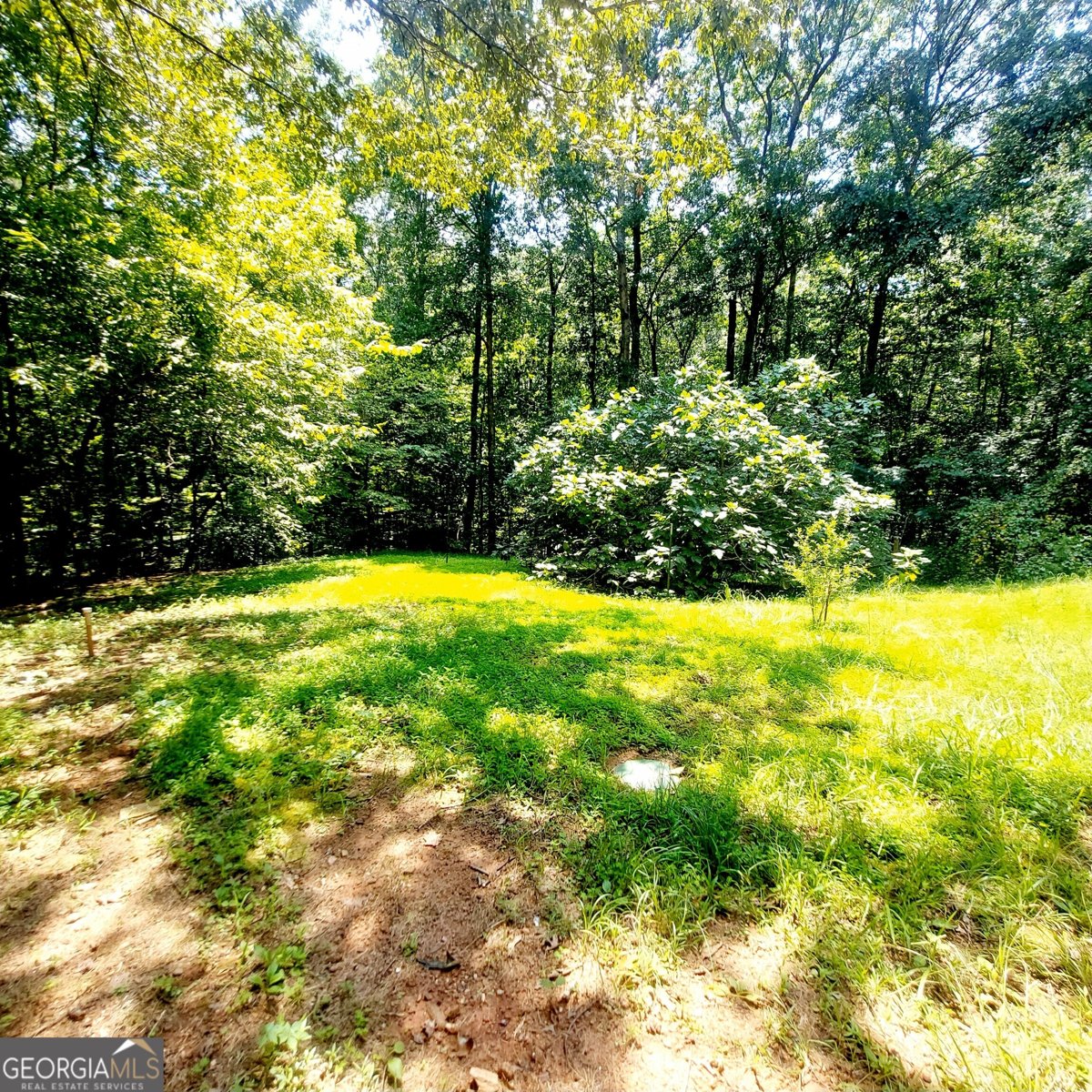 281 MOCKINGBIRD Drive Monticello - 42