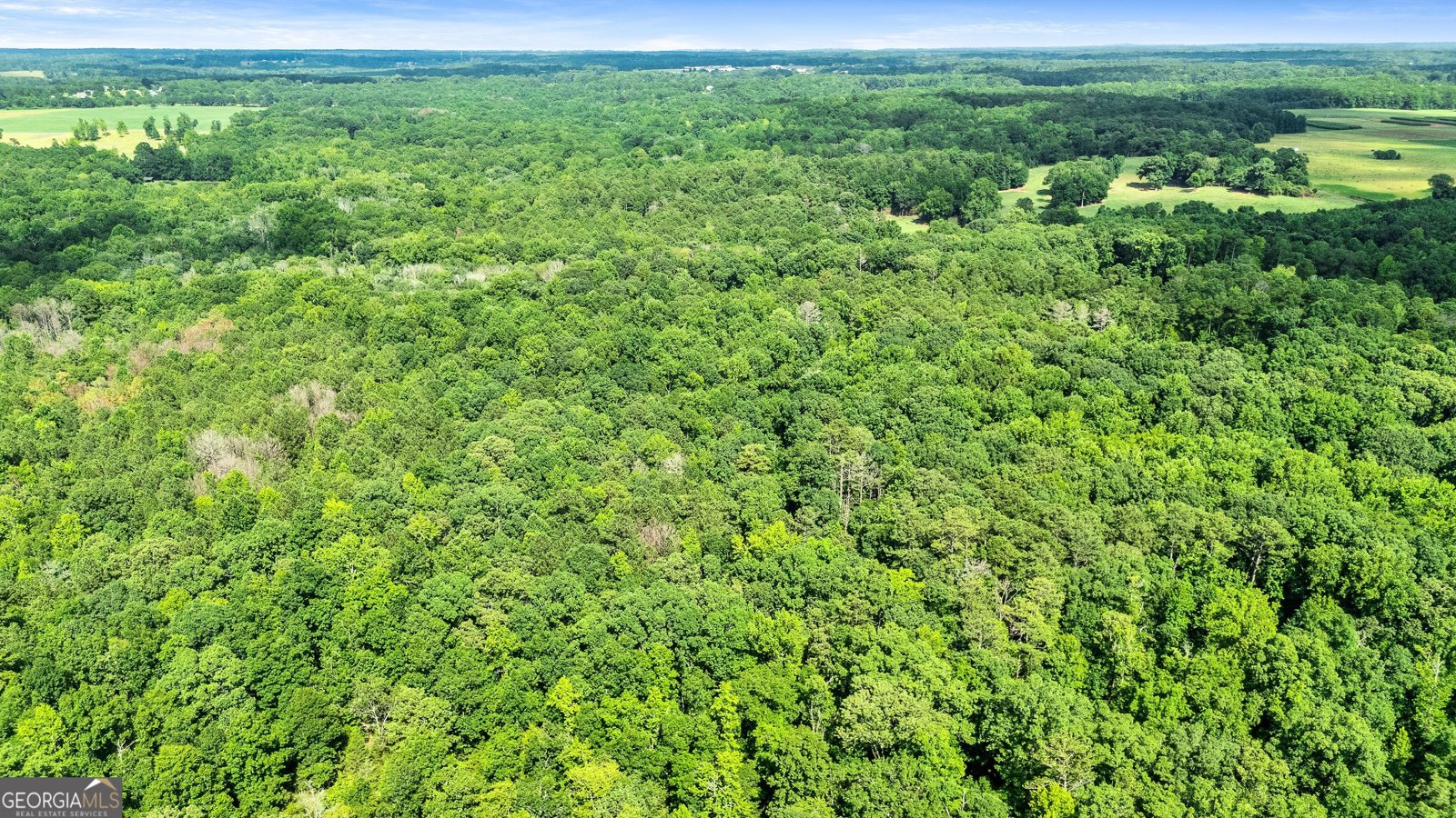 357 Shady Creek Trail Williamson - 14
