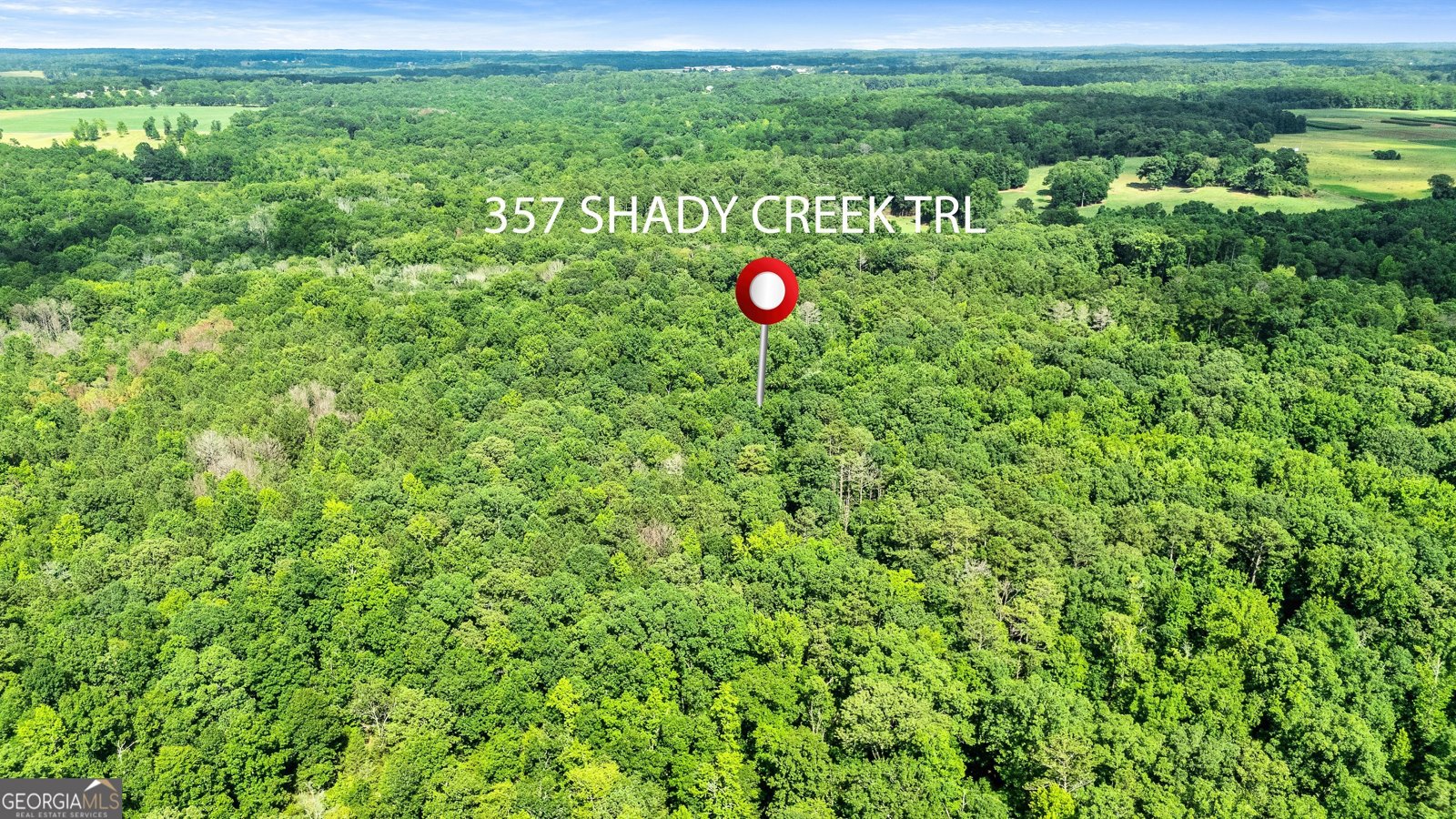 357 Shady Creek Trail Williamson - 15