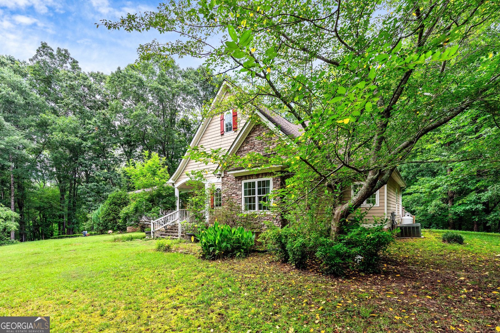 357 Shady Creek Trail Williamson - 3
