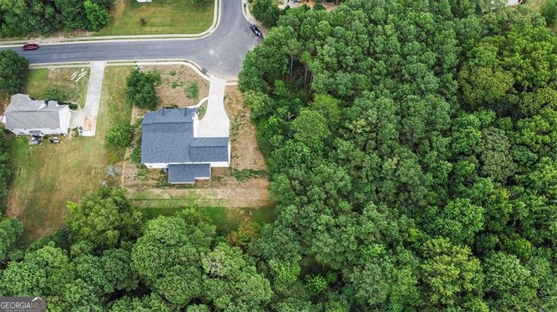 923 MARY FRANCES Court Dacula - 59