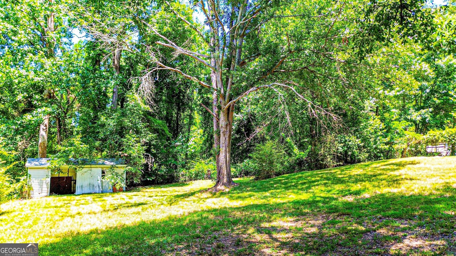 4426 Hidden Branch Drive Douglasville - 89