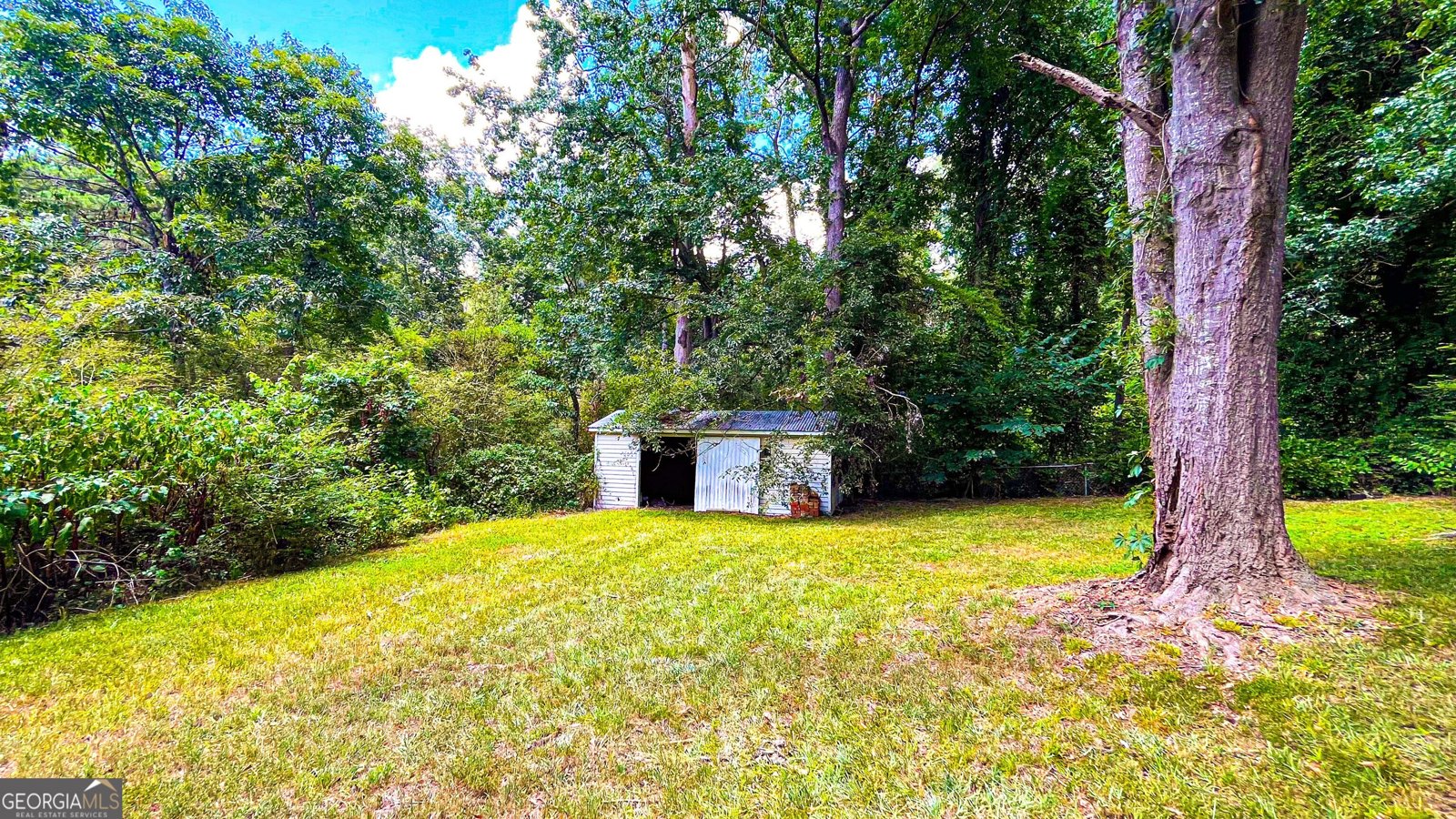 4426 Hidden Branch Drive Douglasville - 91