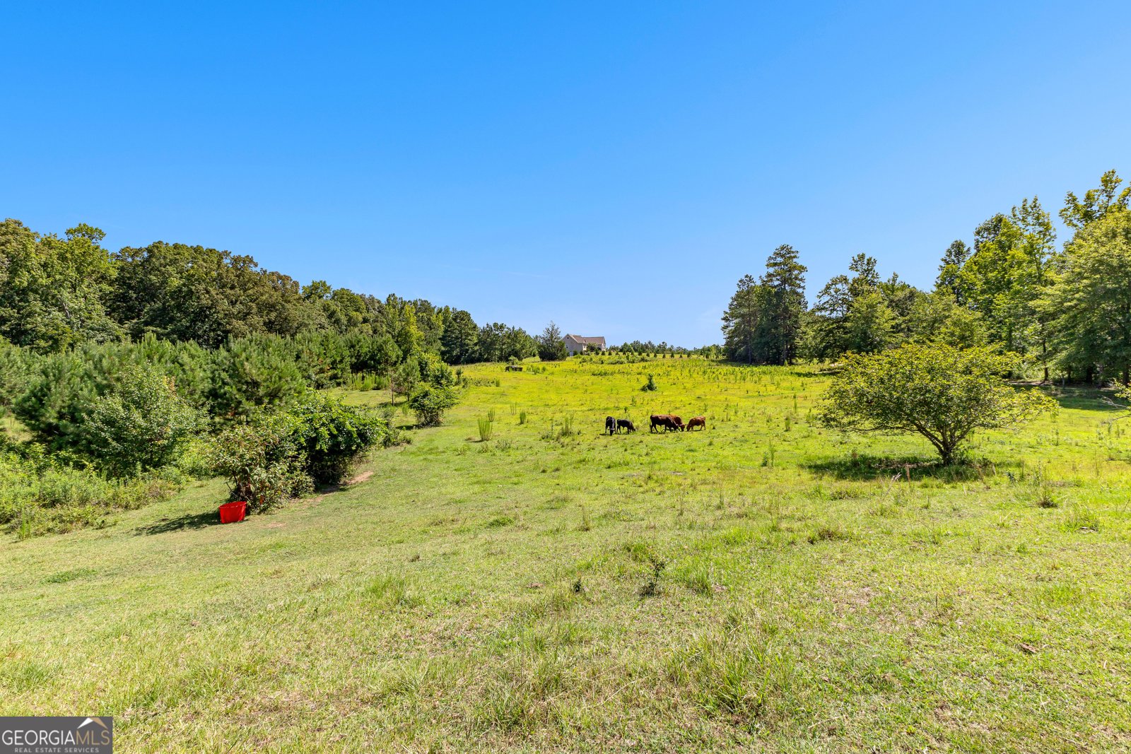 337 Forest Lane Woodbury - 63