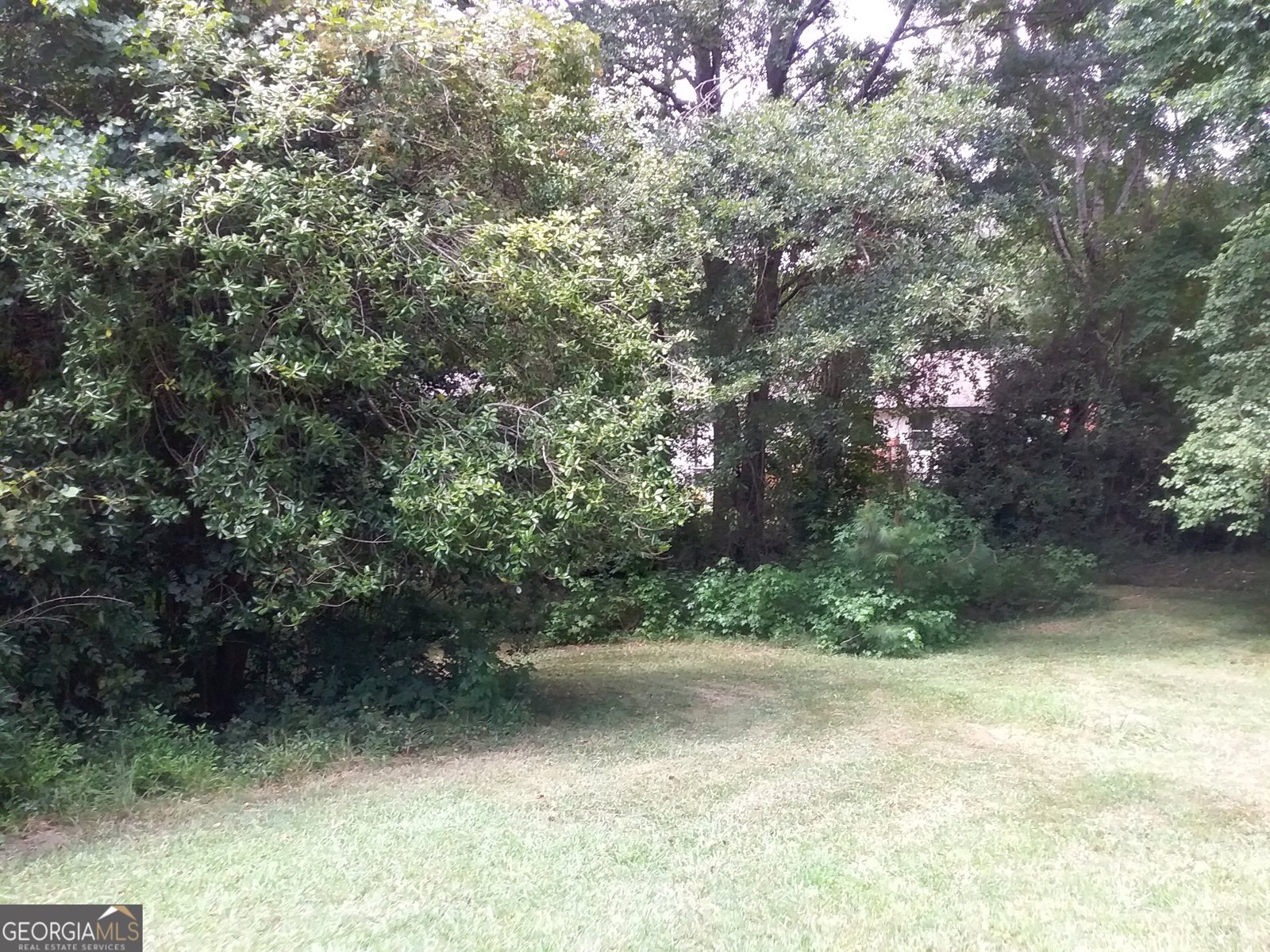 6505 Cherie Lane South Fulton - 5