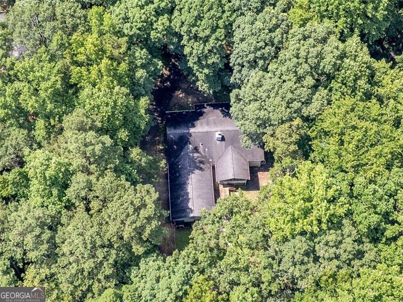 4454 FOXFIRE Crossing Stockbridge - 39