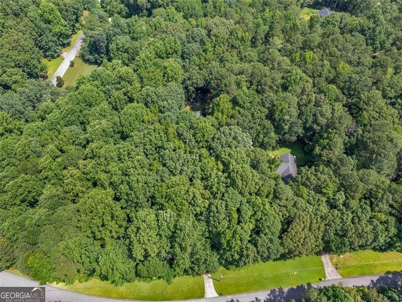4454 FOXFIRE Crossing Stockbridge - 40