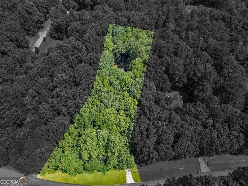 4454 FOXFIRE Crossing Stockbridge - 41