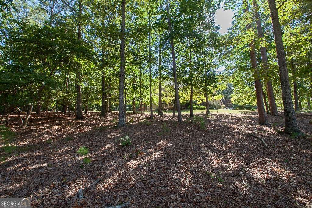 17 Branson Mill Drive Cartersville - 13