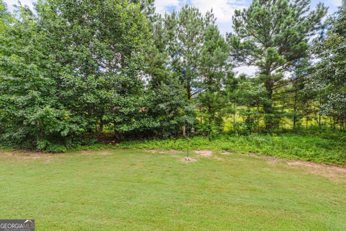 1214 Park Pass Way Suwanee - 32