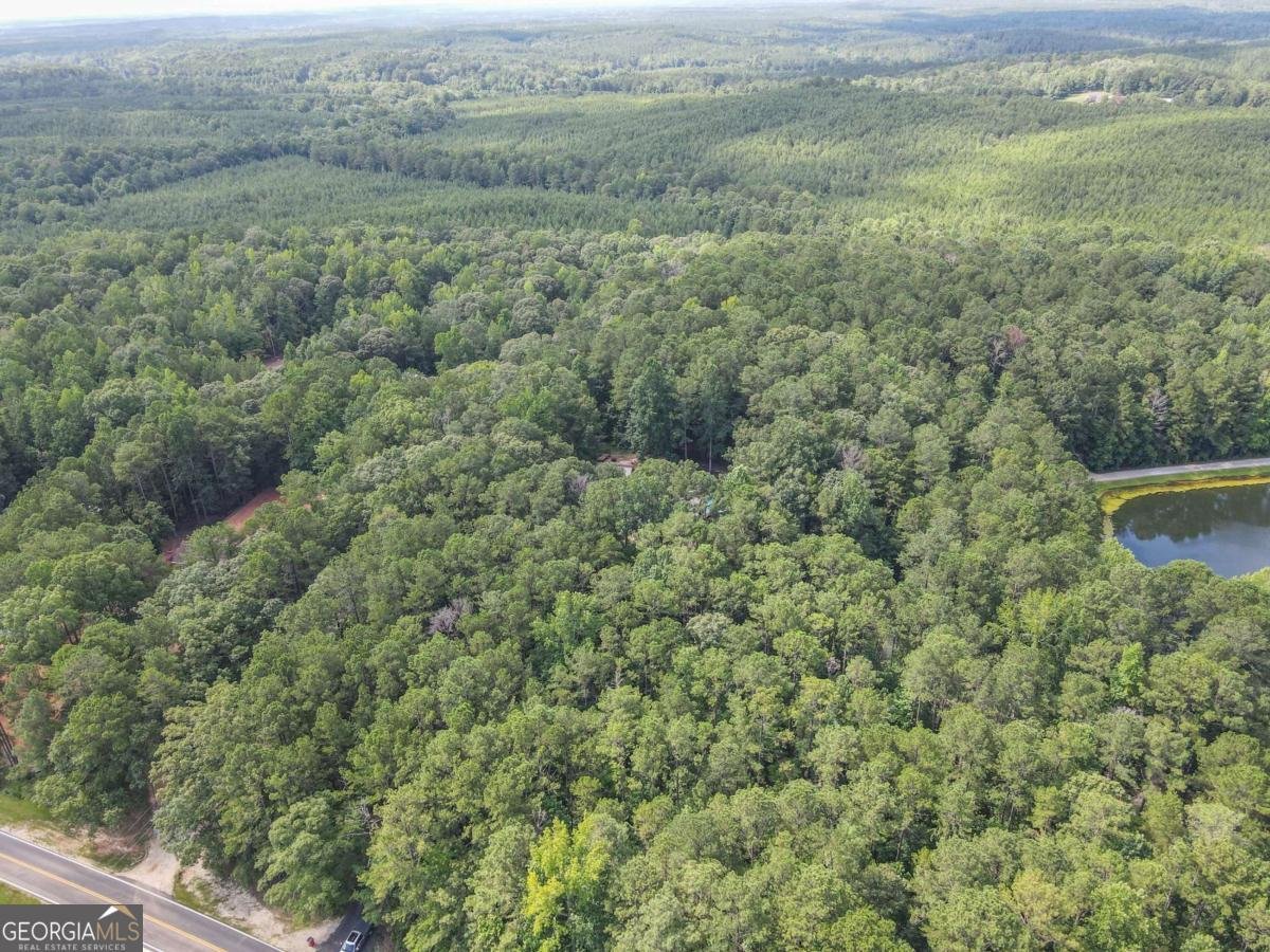 896 Pea Ridge Road Franklin - 41