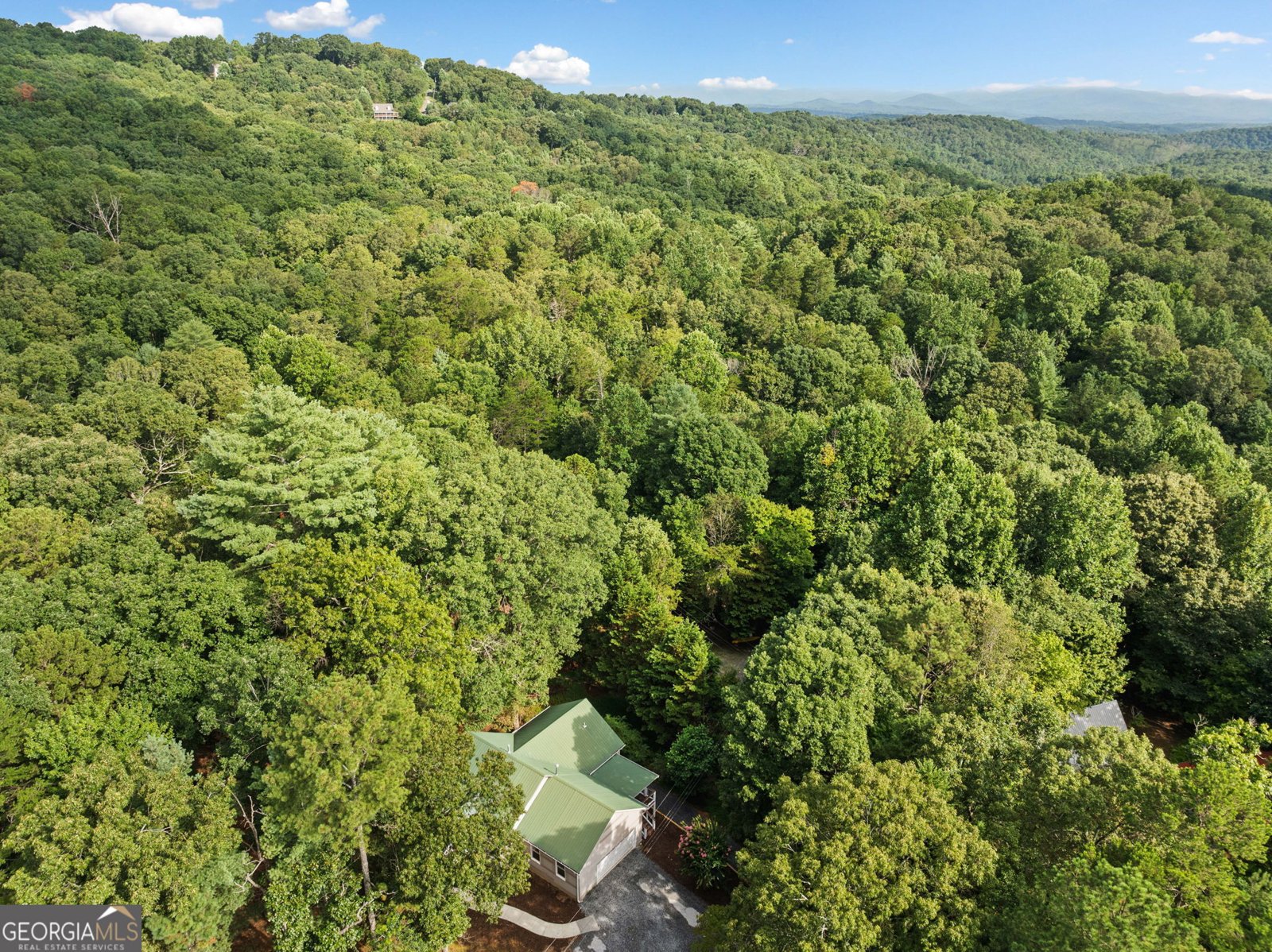 775 Bernhardt Road Ellijay - 2