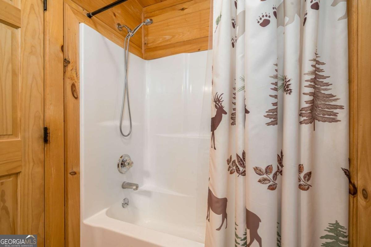 107 Little Bushy Head Road Blue Ridge - 18