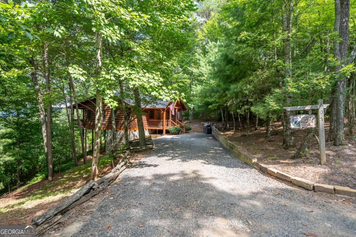 107 Little Bushy Head Road Blue Ridge - 2