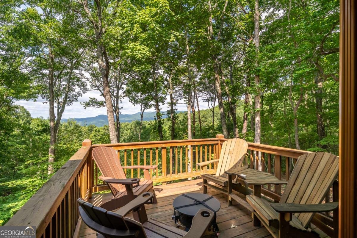 107 Little Bushy Head Road Blue Ridge - 30