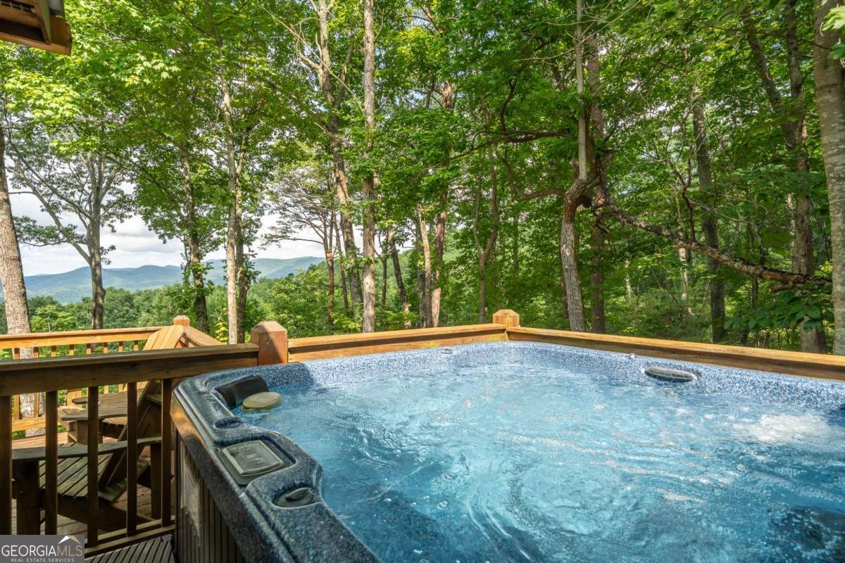 107 Little Bushy Head Road Blue Ridge - 33