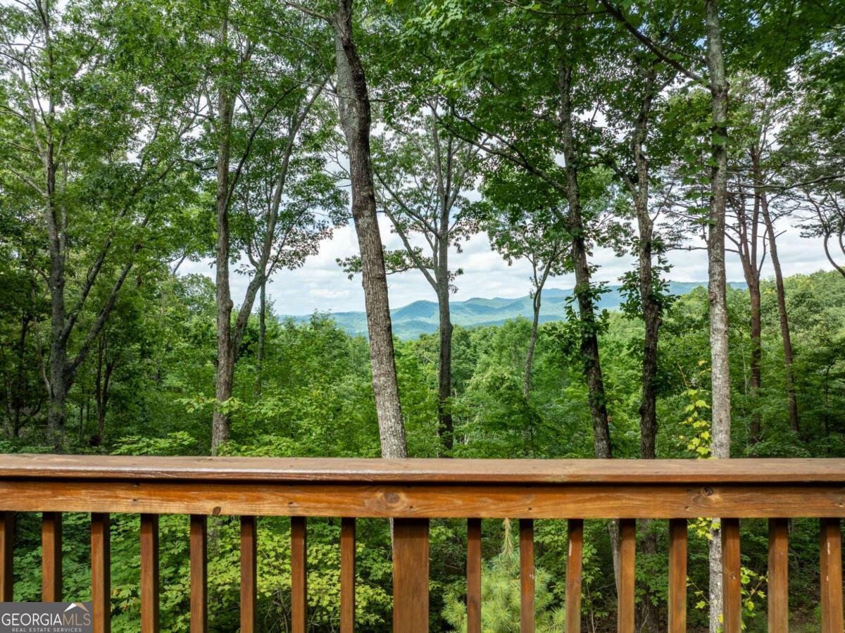 107 Little Bushy Head Road Blue Ridge - 34