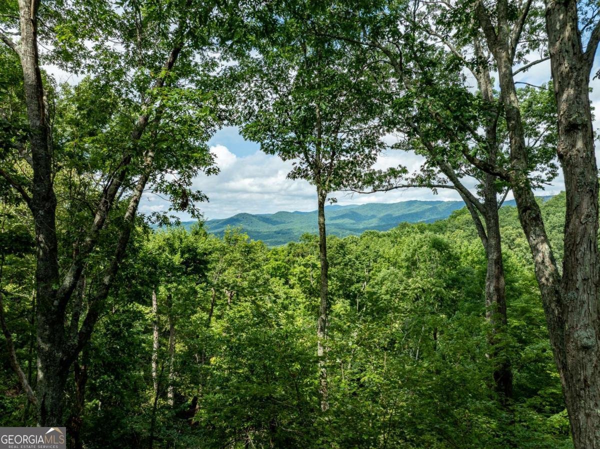 107 Little Bushy Head Road Blue Ridge - 35