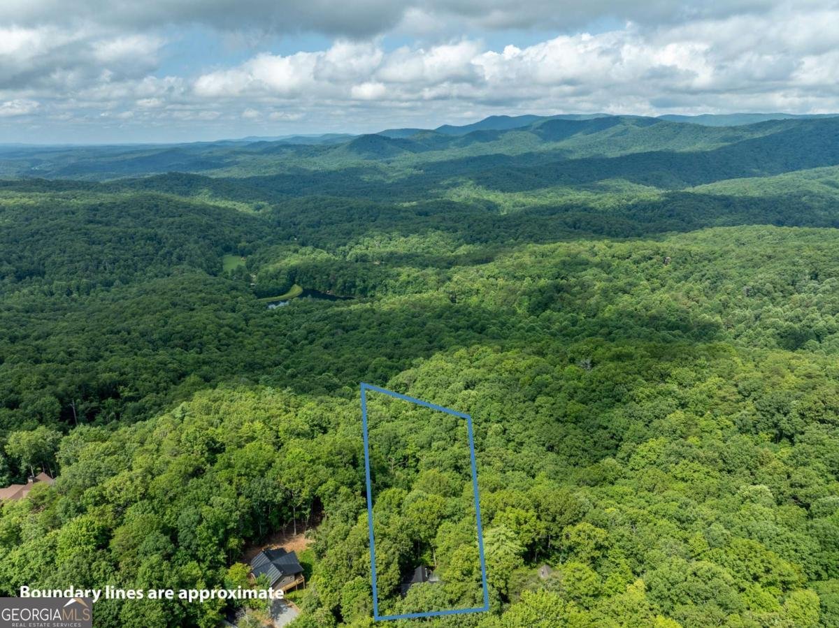 107 Little Bushy Head Road Blue Ridge - 39