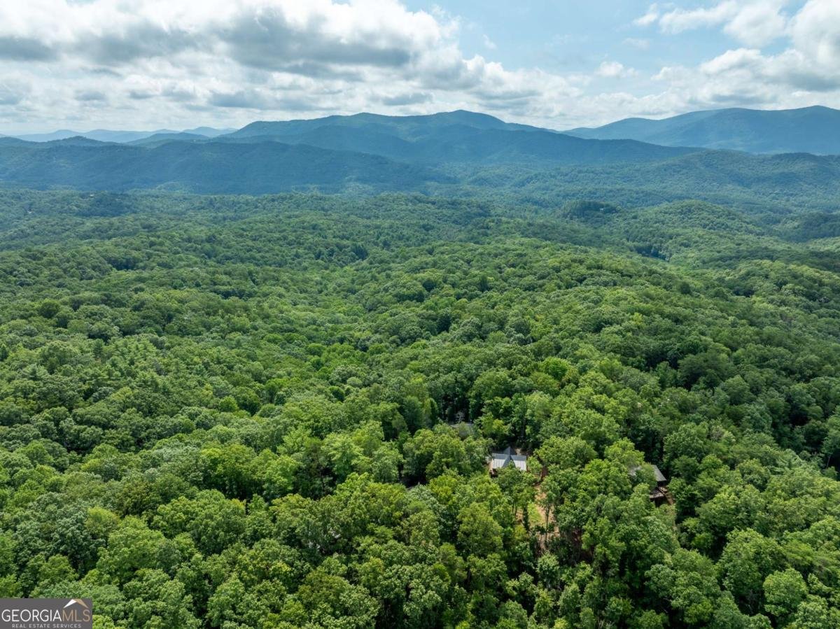 107 Little Bushy Head Road Blue Ridge - 40