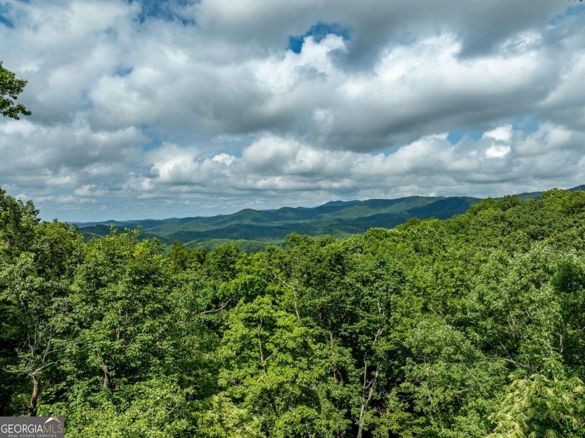 107 Little Bushy Head Road Blue Ridge - 41