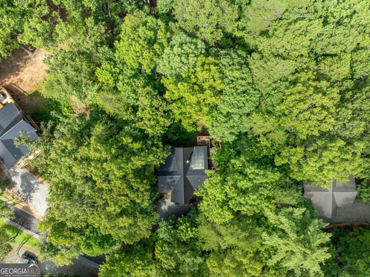107 Little Bushy Head Road Blue Ridge - 42