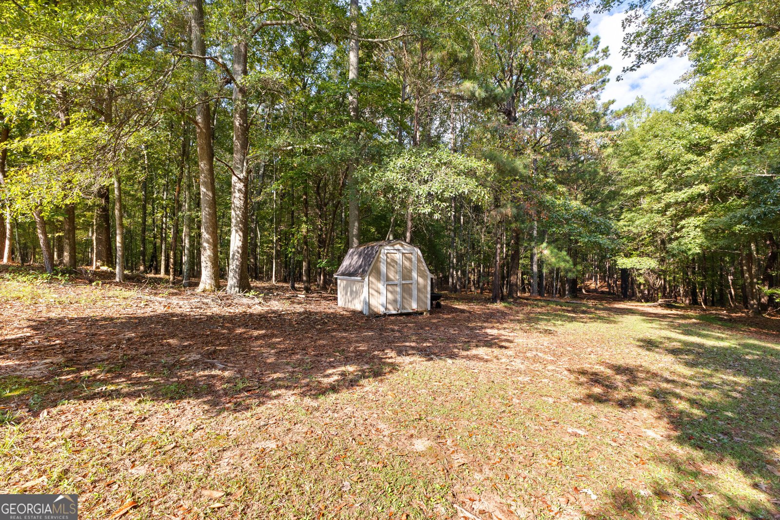 4392 Lower Fayetteville Road Sharpsburg - 34
