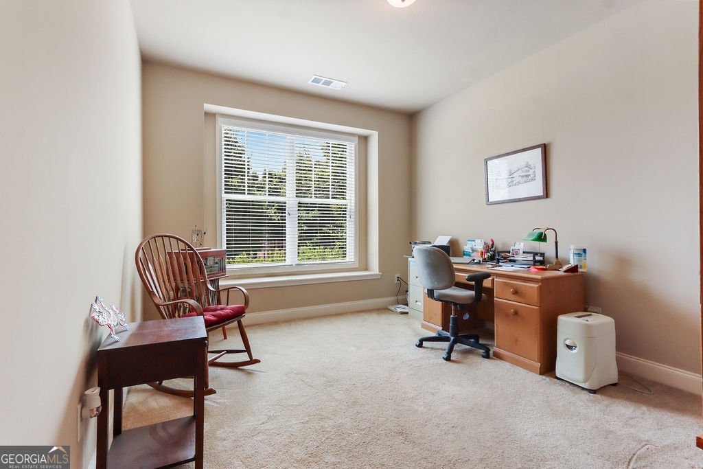 1730 Riverpark Drive Dacula - 20