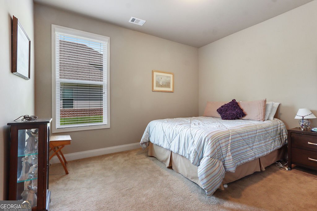 1730 Riverpark Drive Dacula - 21