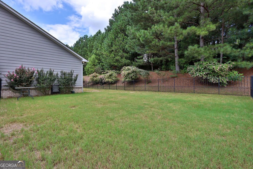1730 Riverpark Drive Dacula - 43