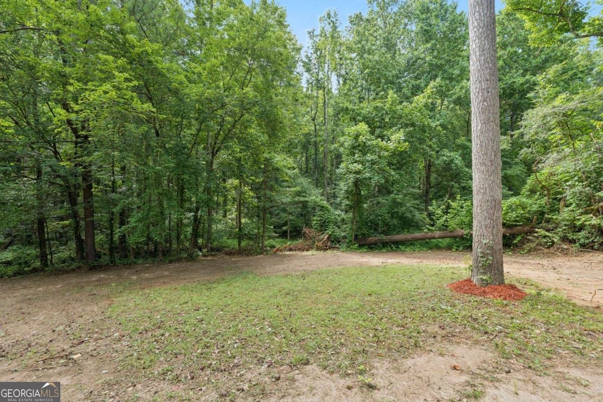 7201 Woodcreek Way Douglasville - 23