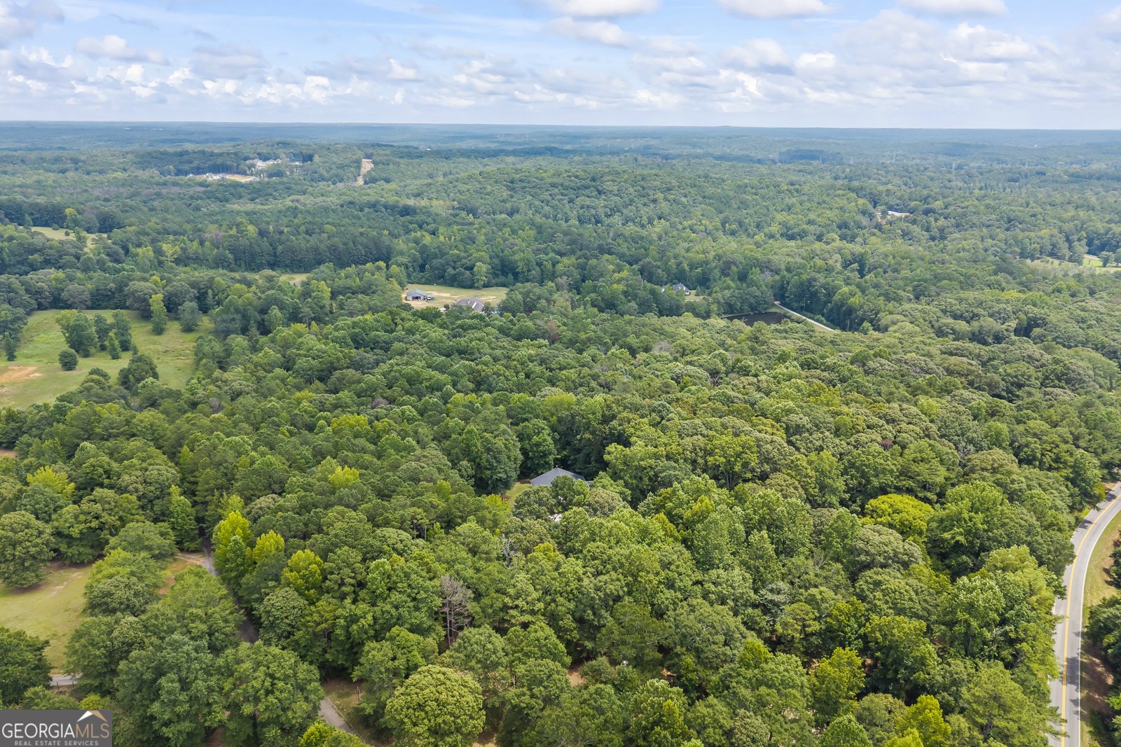 659 Hood Road Newnan - 89
