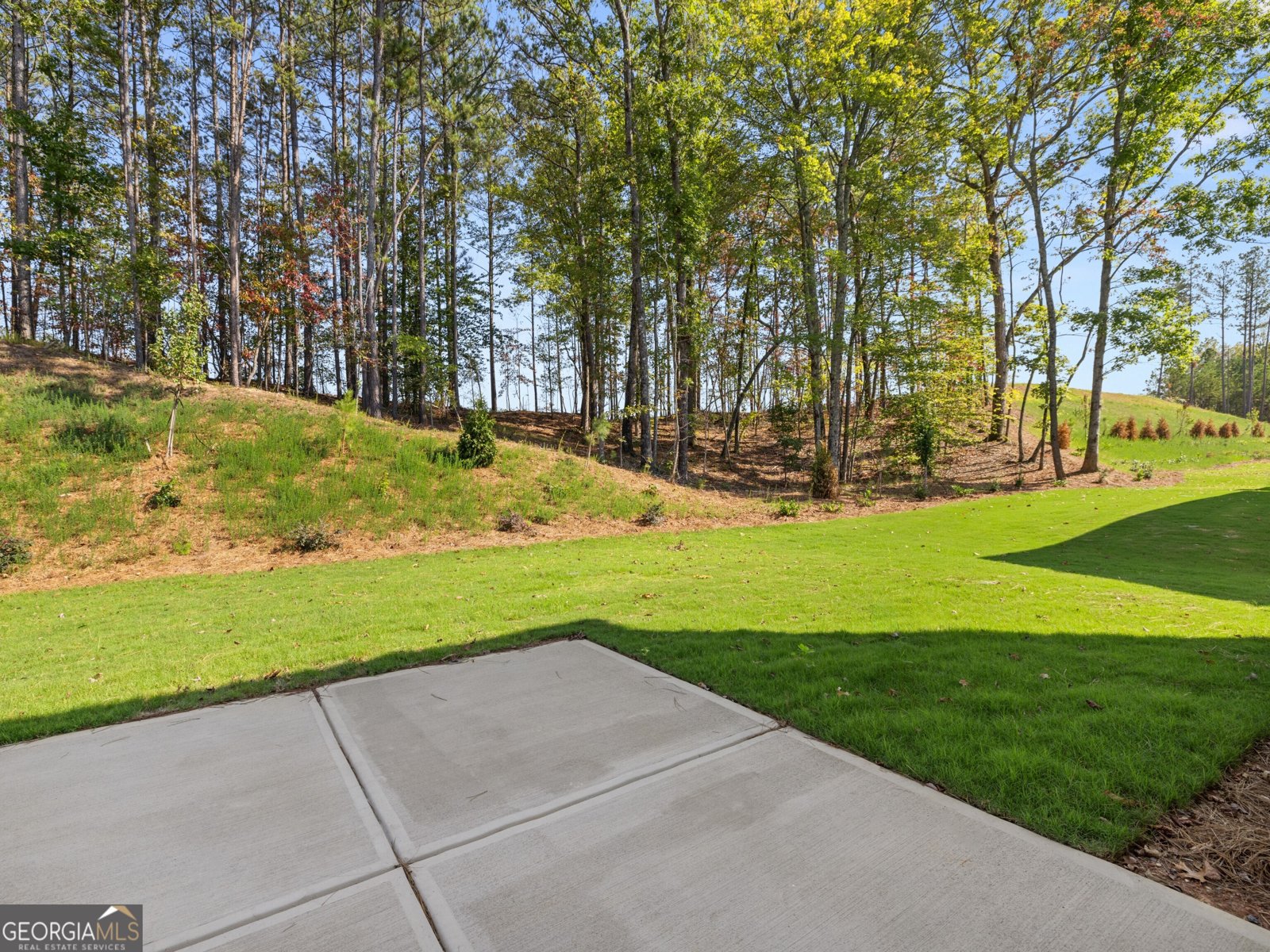 148 Landsdowne Way Cartersville - 11