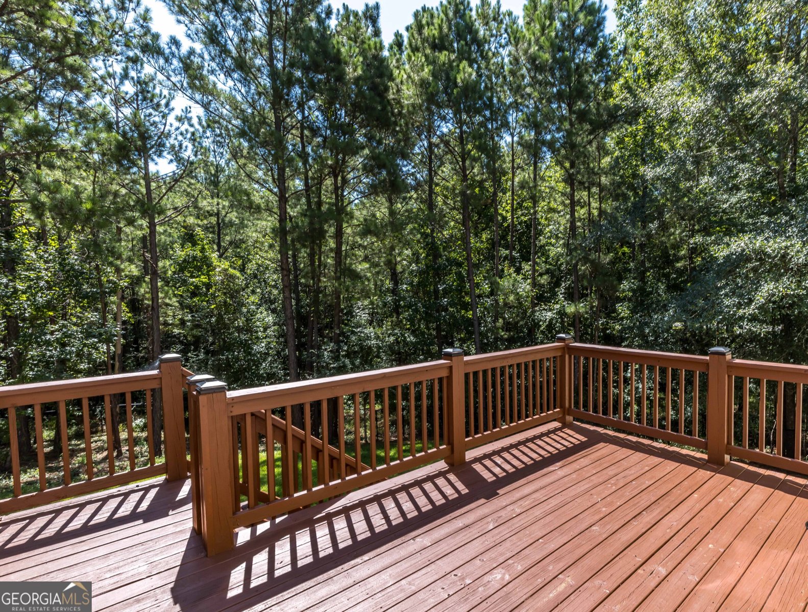 9700 Wooldridge Heights Drive Fortson - 5