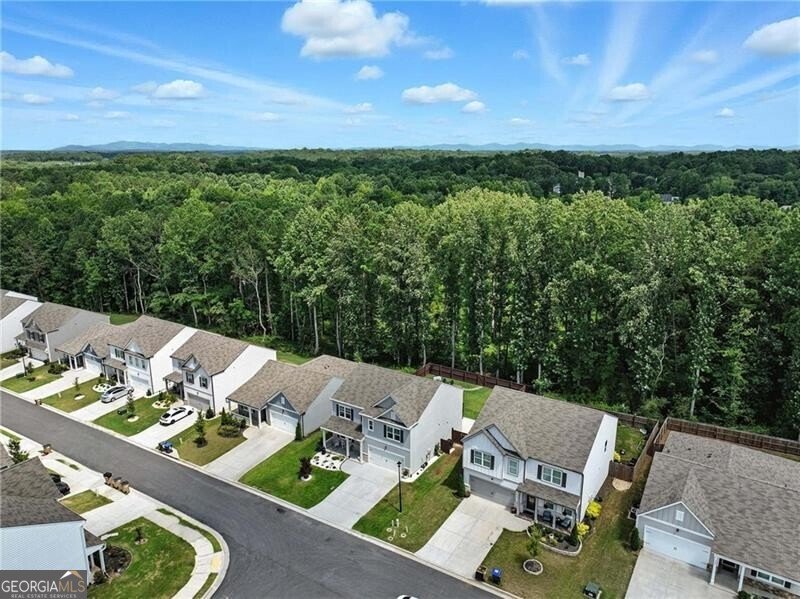 404 Barnwood Lane Dawsonville - 3