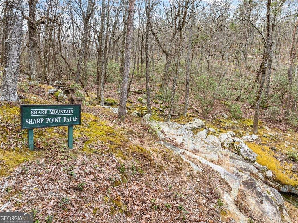564 Mystic Trail Lane Jasper - 4