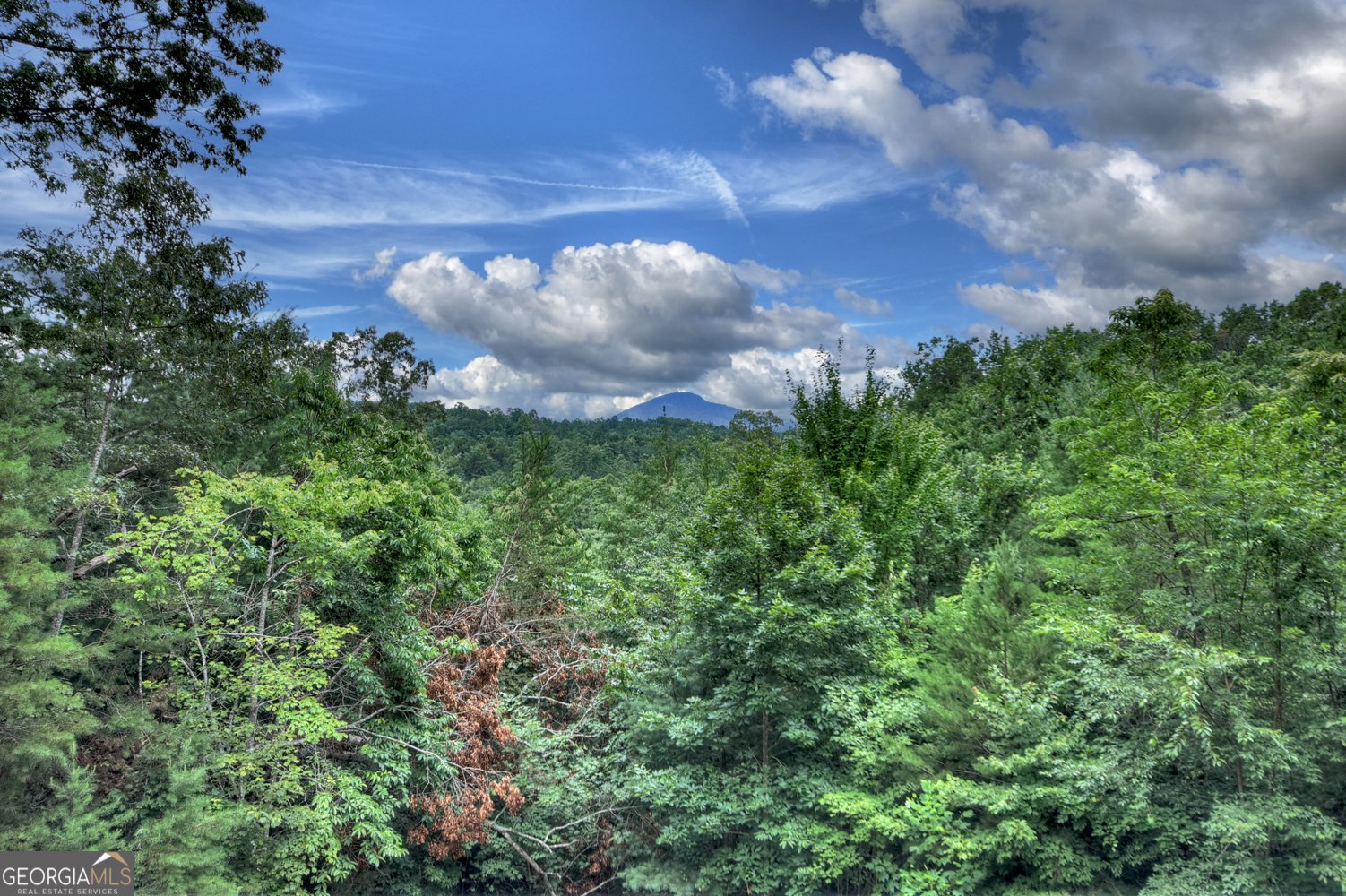 852 Miners Mountain Road Sautee Nacoochee - 35