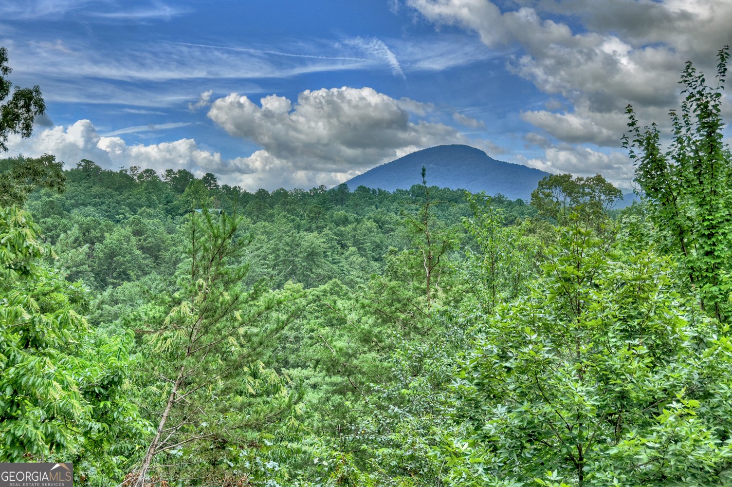 852 Miners Mountain Road Sautee Nacoochee - 36