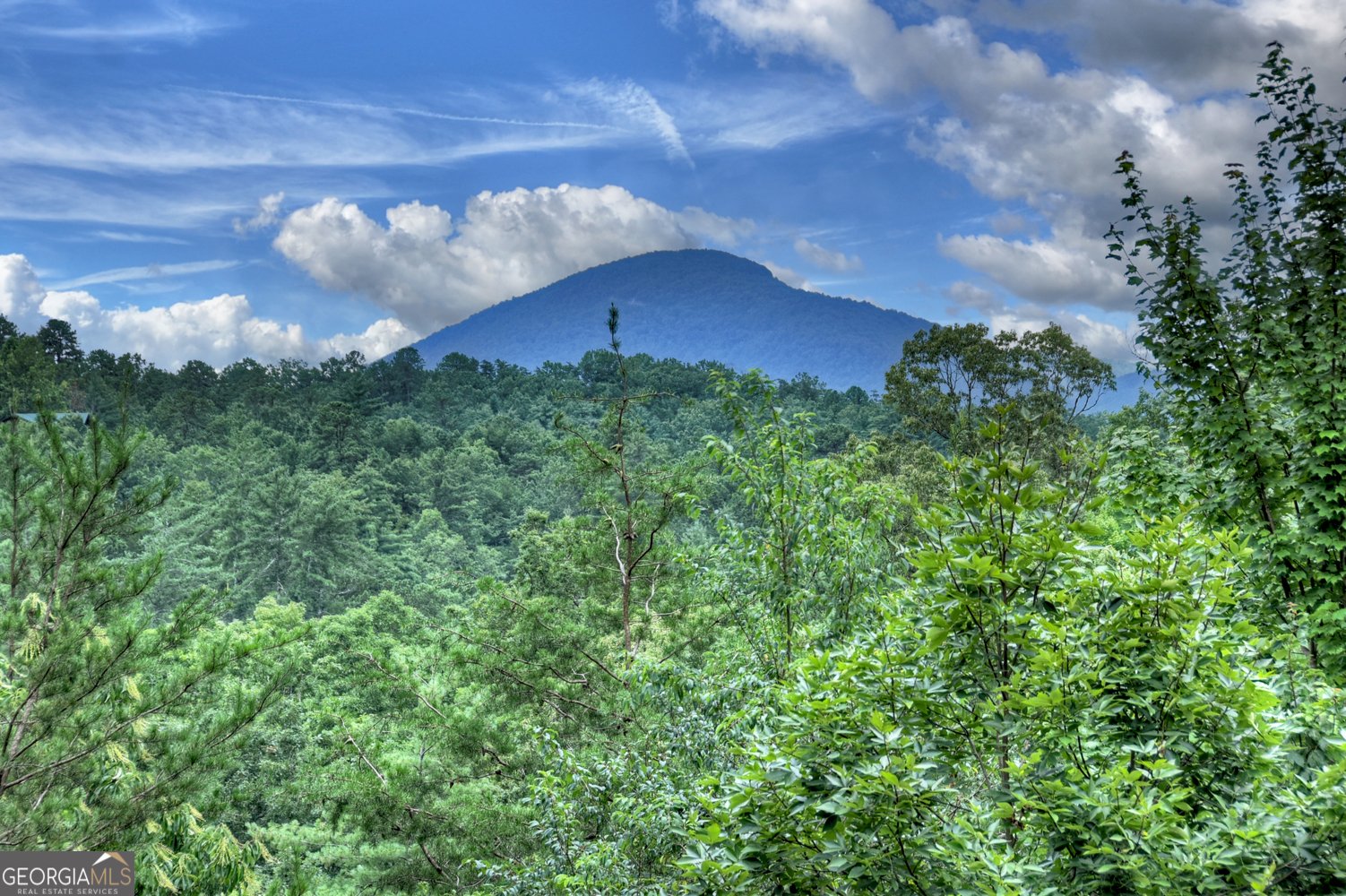 852 Miners Mountain Road Sautee Nacoochee - 37
