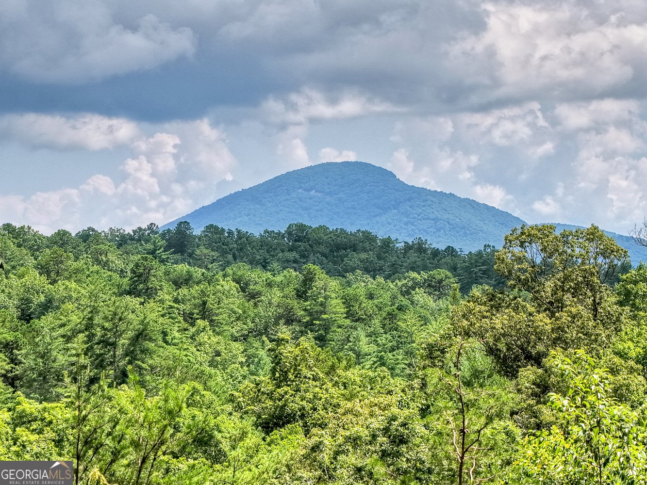 852 Miners Mountain Road Sautee Nacoochee - 43