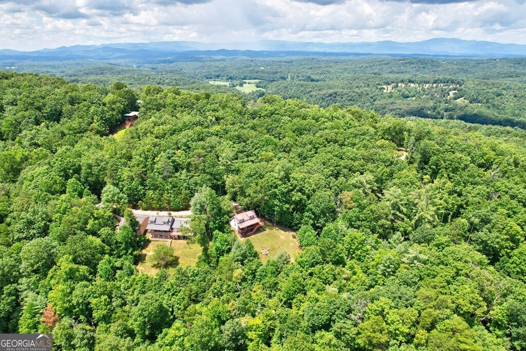705 Hickory Drive Mineral Bluff - 12