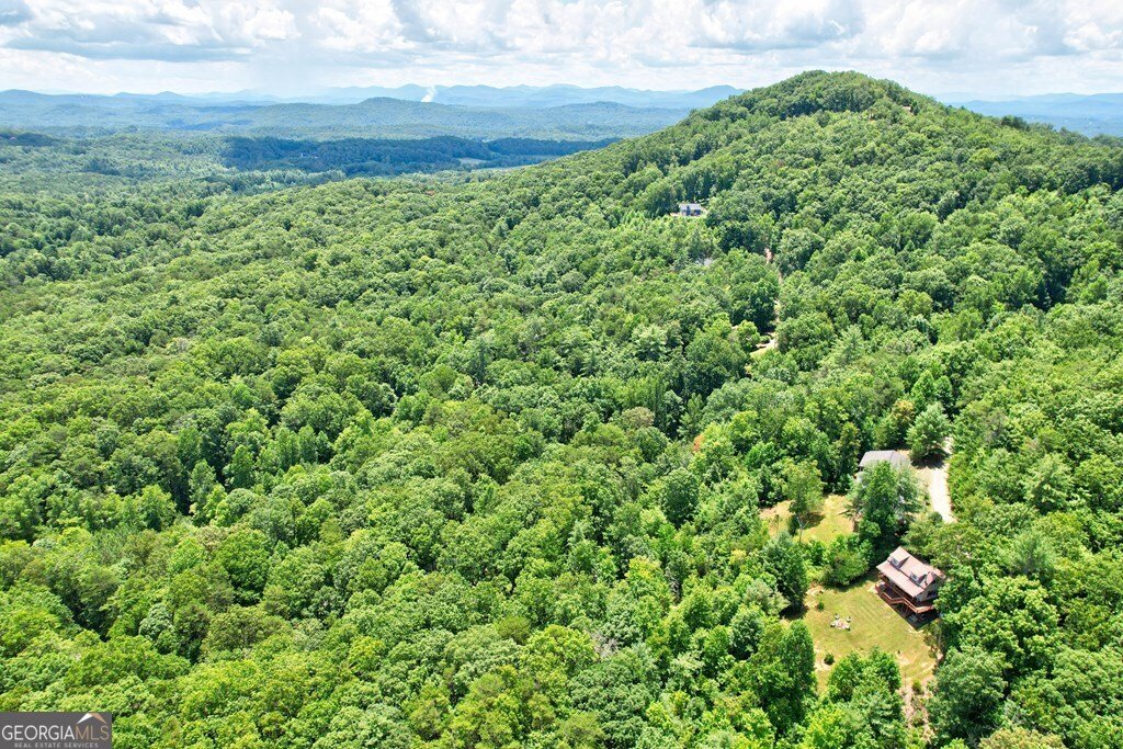 705 Hickory Drive Mineral Bluff - 13