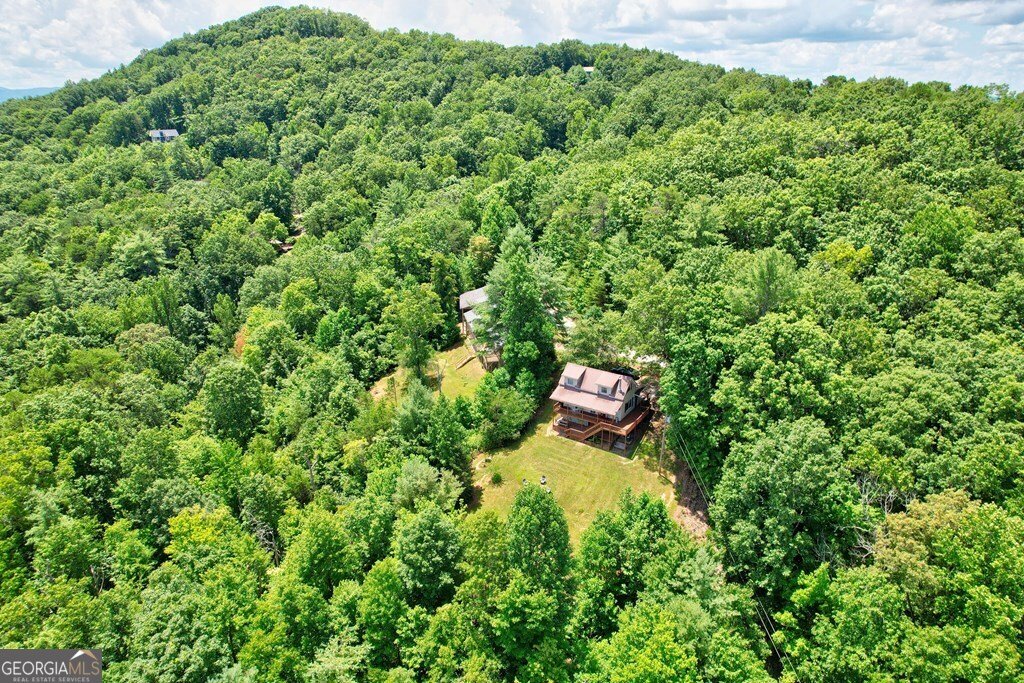 705 Hickory Drive Mineral Bluff - 14