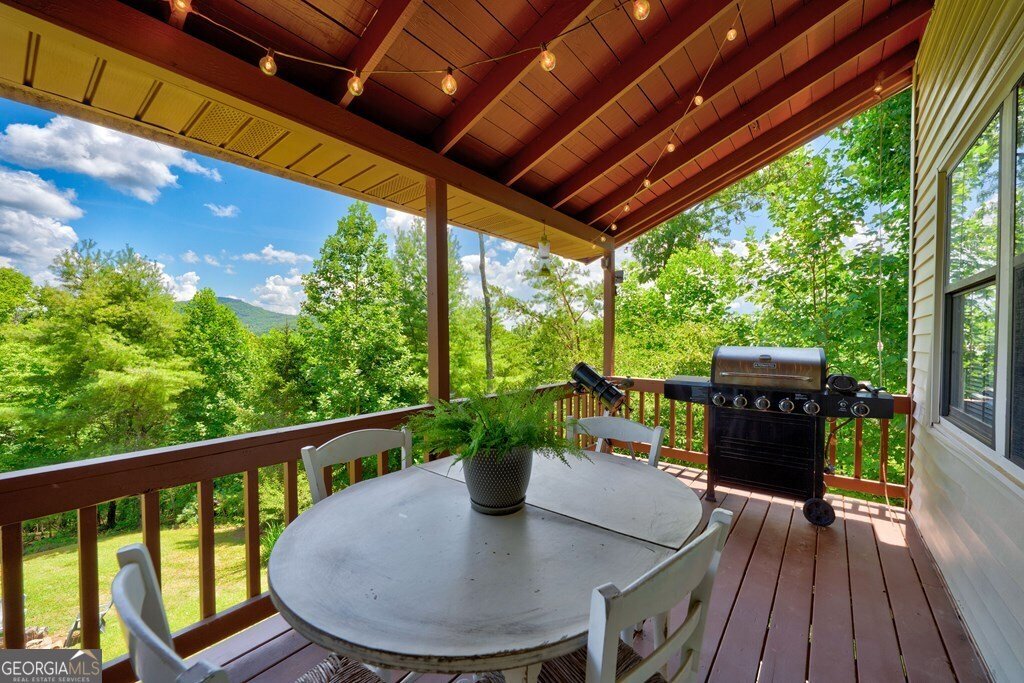 705 Hickory Drive Mineral Bluff - 19