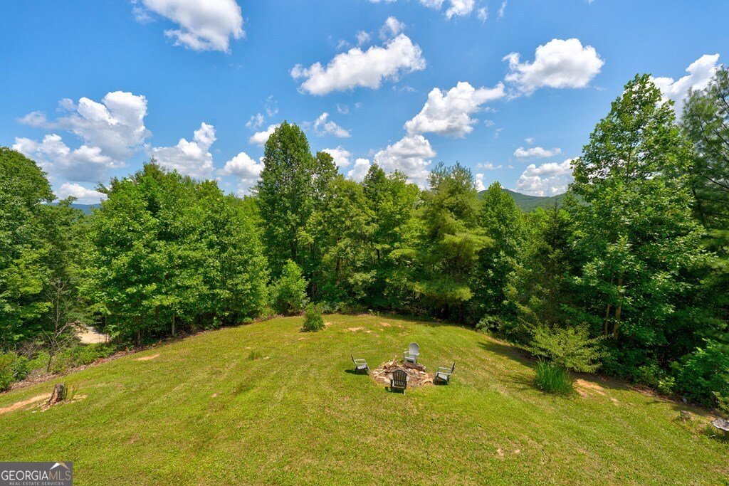 705 Hickory Drive Mineral Bluff - 21