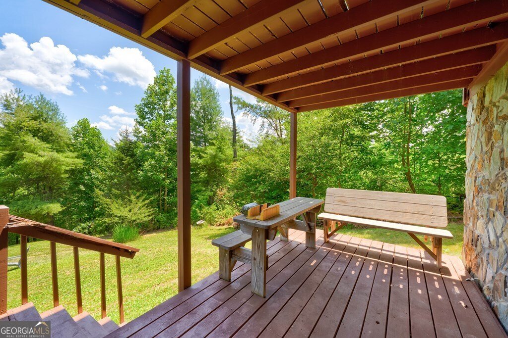 705 Hickory Drive Mineral Bluff - 23