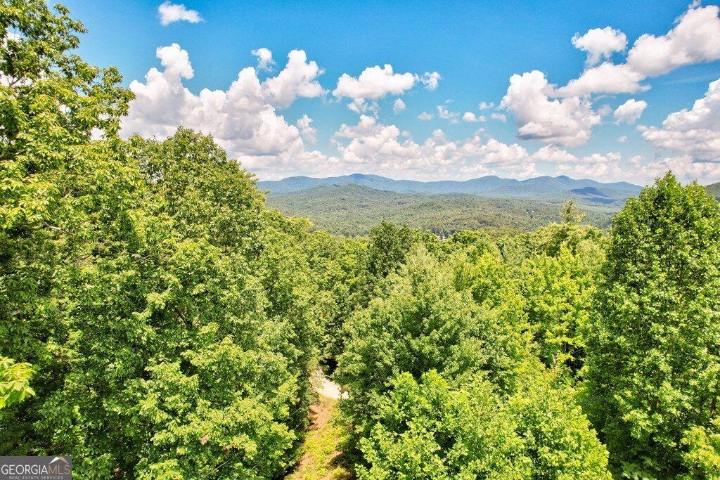 705 Hickory Drive Mineral Bluff - 47