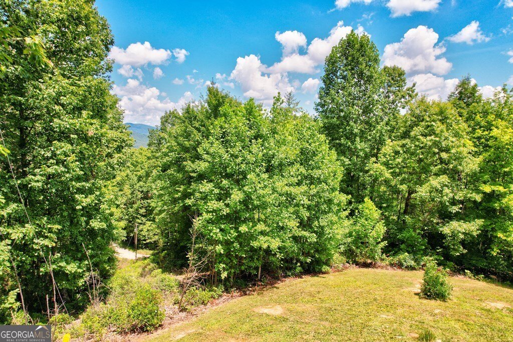 705 Hickory Drive Mineral Bluff - 48