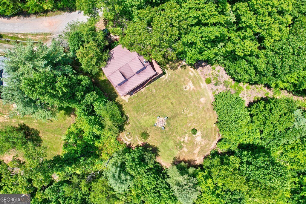 705 Hickory Drive Mineral Bluff - 50